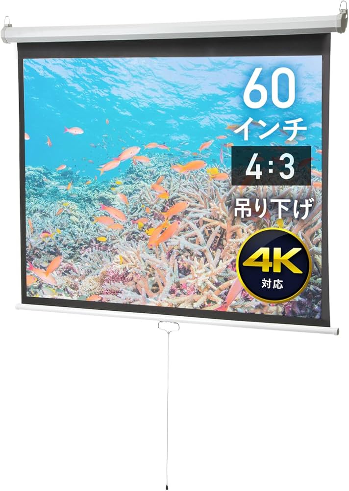 Amazon.co.jp: イーサプライ プロジェクタースクリーン 60インチ 4:3