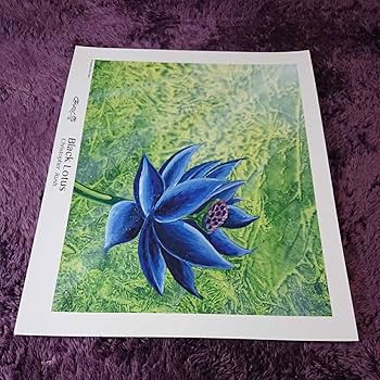 Amazon.co.jp: 大判《Black Lotus》Christopher Rush 証明書付 サイン