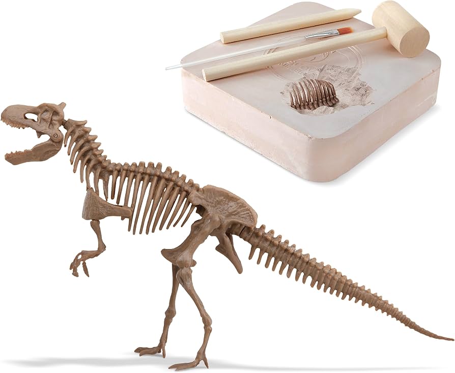 Amazon | Discovery ほりだせT-REX!発掘KIT TK018 | 化石・発掘 | おもちゃ