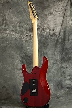 Amazon | Ibanez アイバニーズ エレキギター J-Custom RG8570Z RS