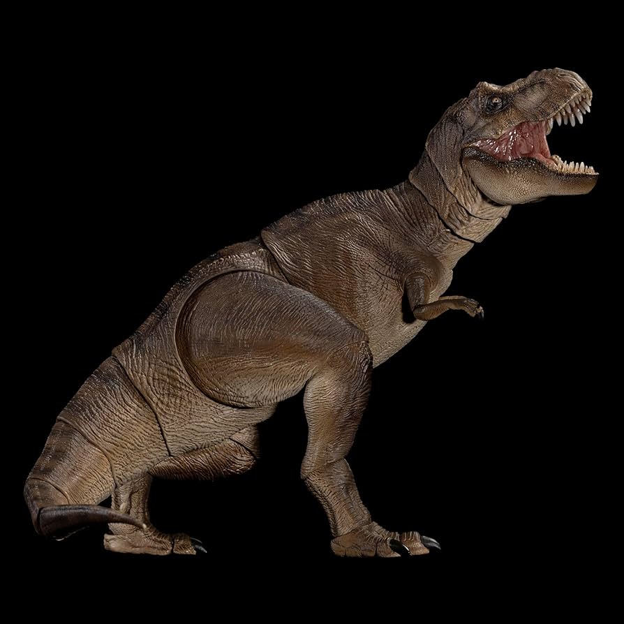 71MRy1SCLhL._AC_UF894,