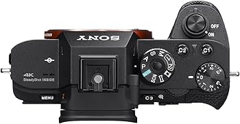 Amazon.com : Sony a7R II Full-Frame Mirrorless Interchangeable