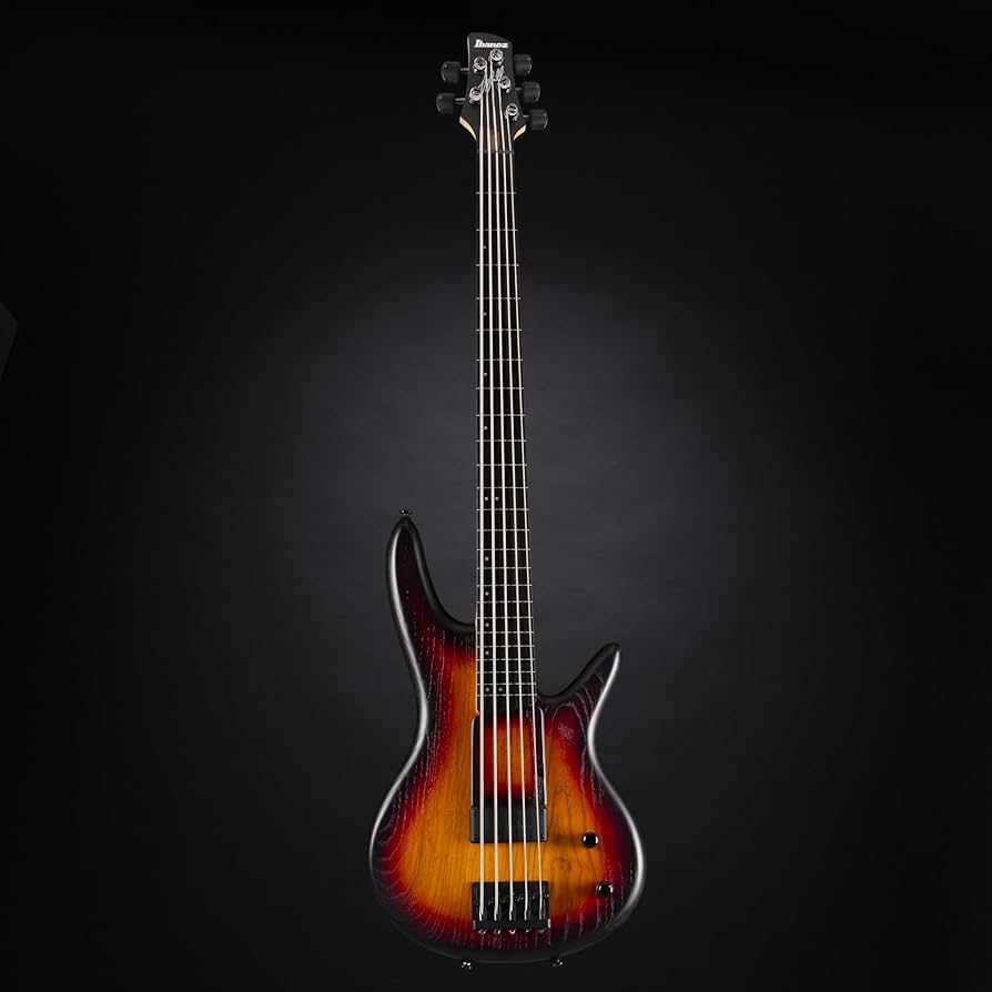 Amazon.com: Ibanez Gary Willis Signature GWB205 Fretless Bass