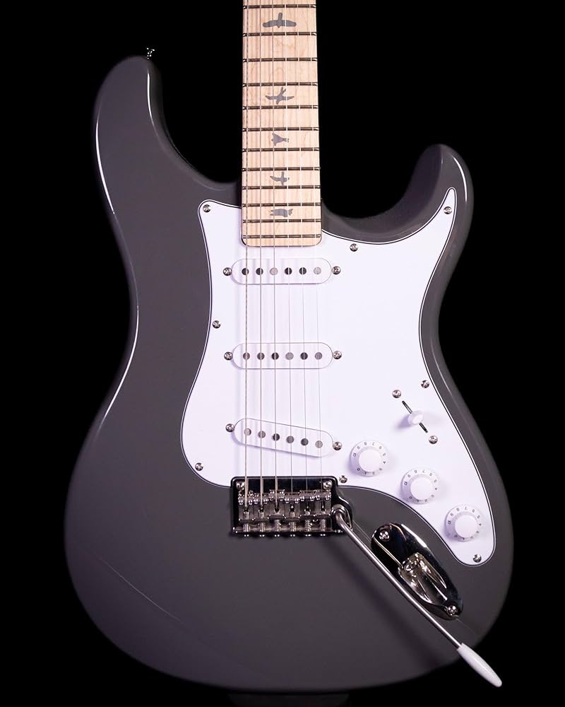 Amazon | SE Silver Sky Maple Overland Gray | エレキギター | 楽器