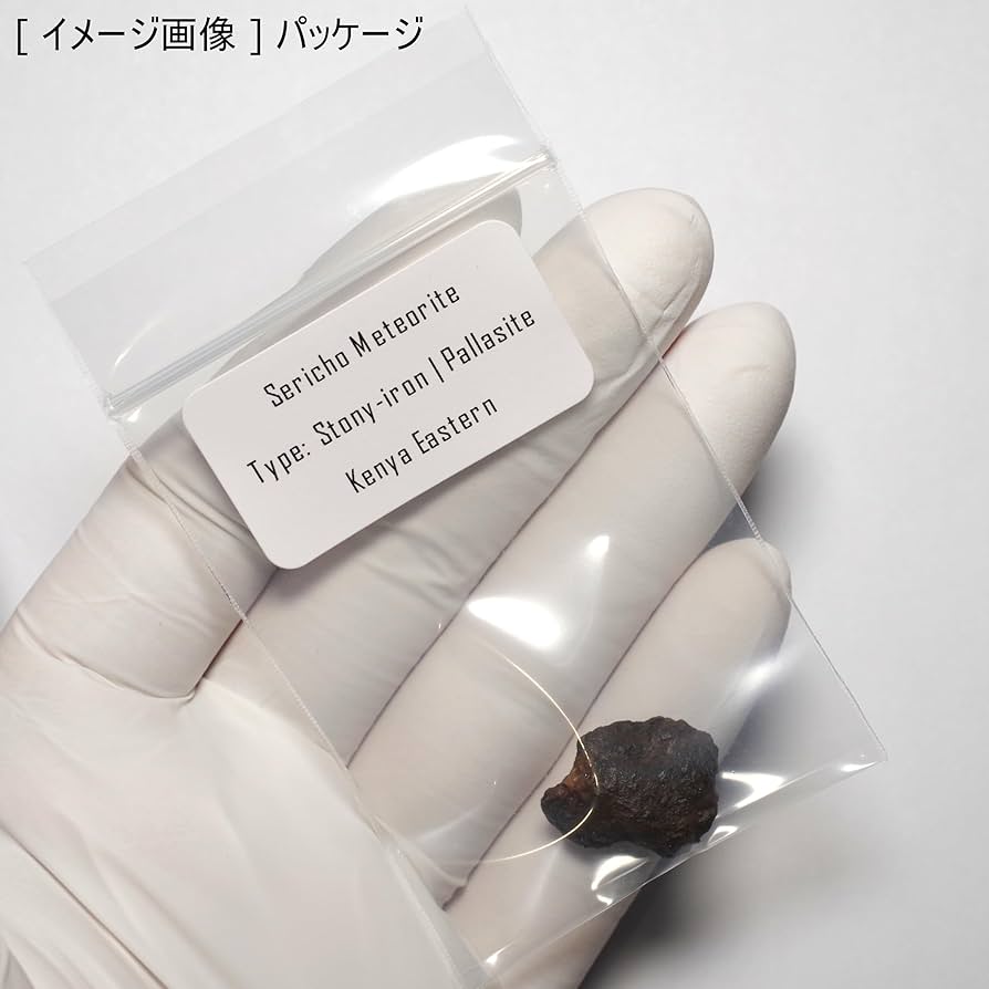 Amazon | [N2 stone Natural] Sericho 石鉄隕石-パラサイト (stony