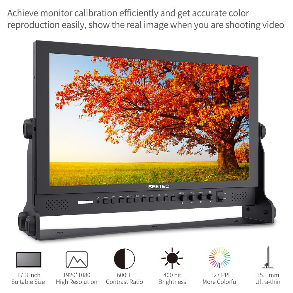 Amazon.co.jp: SEETEC P173-9HSD 17.3インチ プロのモニター 1920x1080