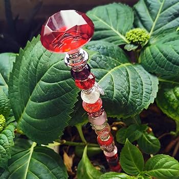 71OK4C3PylS._AC_UF350,