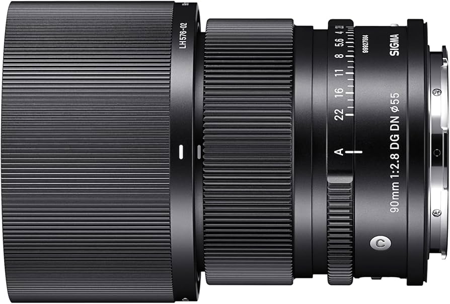 Amazon.com : Sigma 90mm F2.8 DG DN for L Mount : Electronics