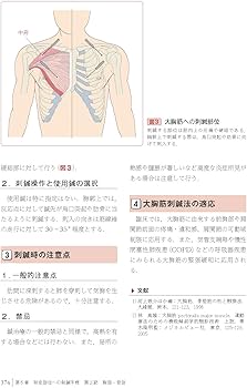 図解鍼灸療法技術ガイドI 第2版 臨床の場で役立つ実践のすべて | 矢野
