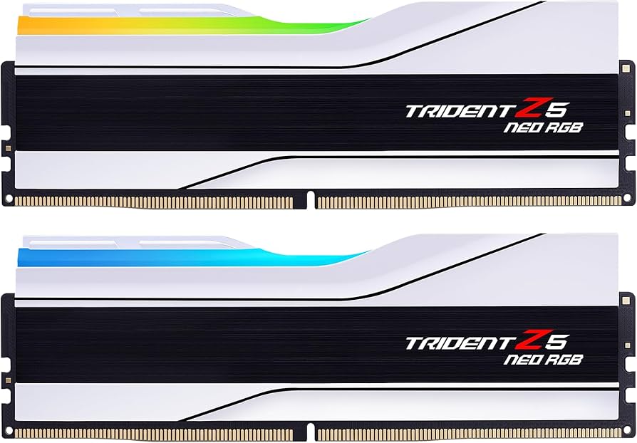 Amazon.com: G.SKILL Trident Z5 Neo RGB Series DDR5 RAM (AMD Expo