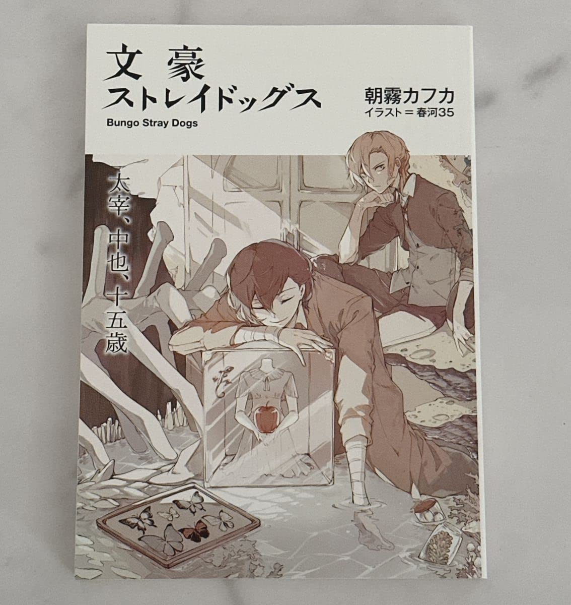 Amazon.co.jp: 文豪ストレイドッグス DEAD APPLE 小説 太宰、中也、十