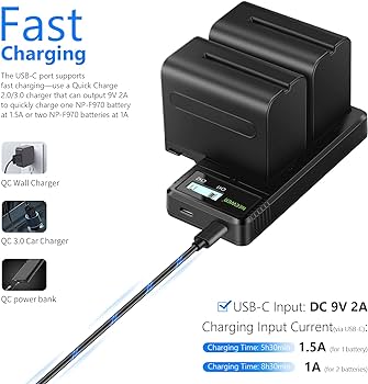 Amazon.com: NEEWER Dual USB Fast Charger with 2 x 6600mAh NP-F970