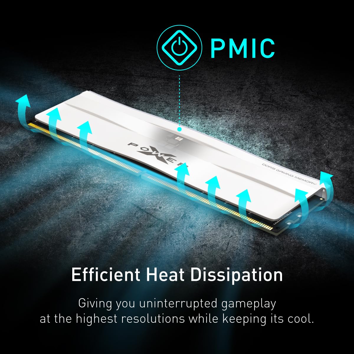 Amazon.co.jp: シリコンパワー DDR5 64GB (2x32GB) Zenith RGB 6000MHz