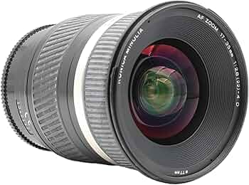 71Oz6u8np6L._AC_UF350,