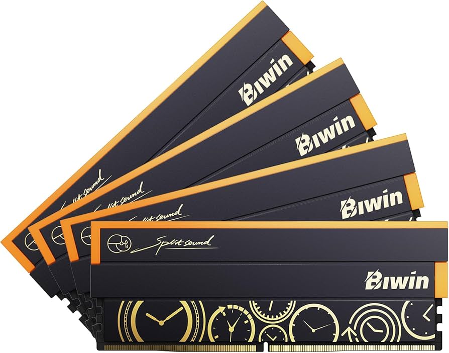 Amazon.co.jp: Biwin DW100 DDR5 6000MT/s (PC5-48000) 192GB (48GB×4