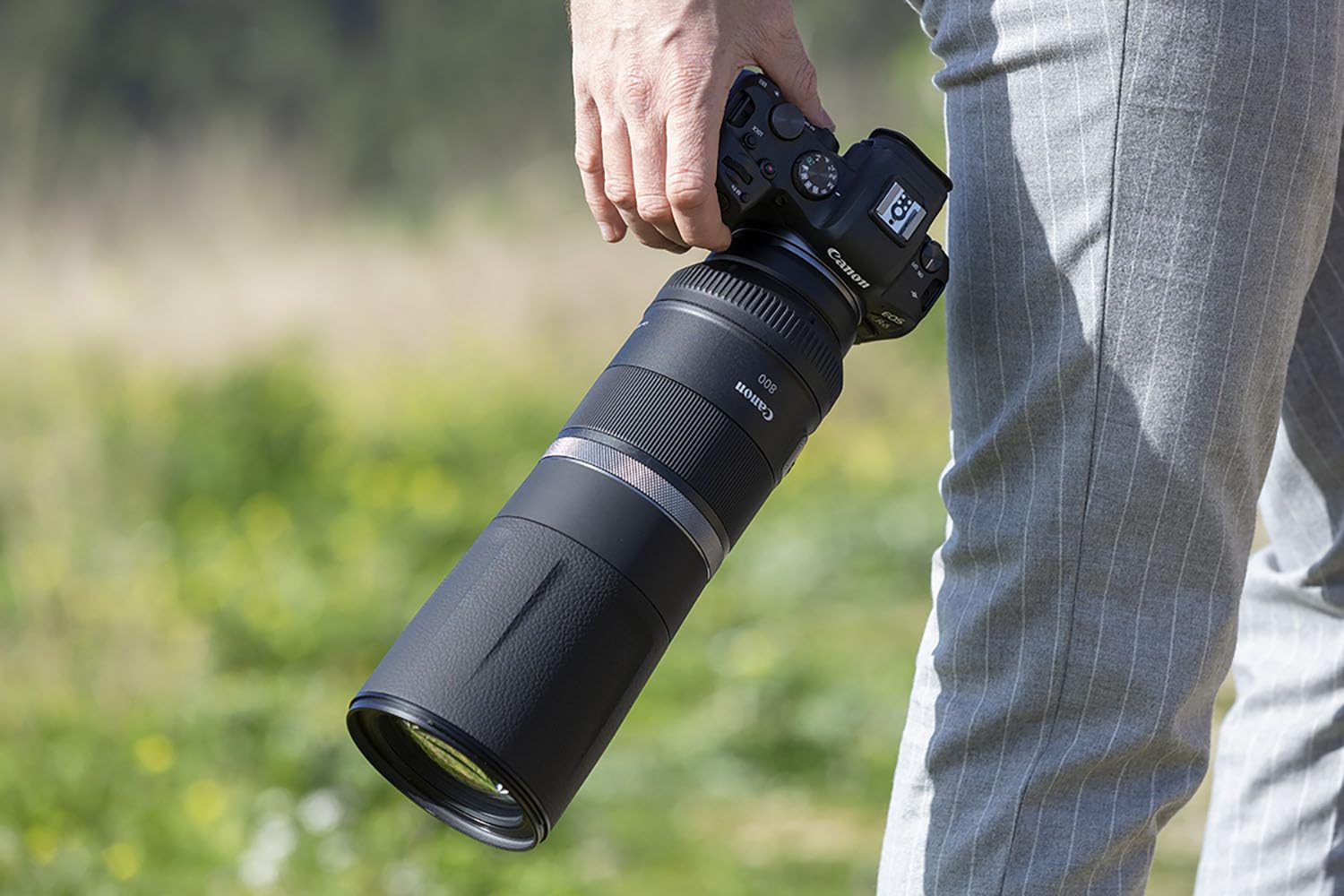 Amazon.co.jp: Canon 望遠レンズ RF800mm F11 IS STM フルサイズ対応