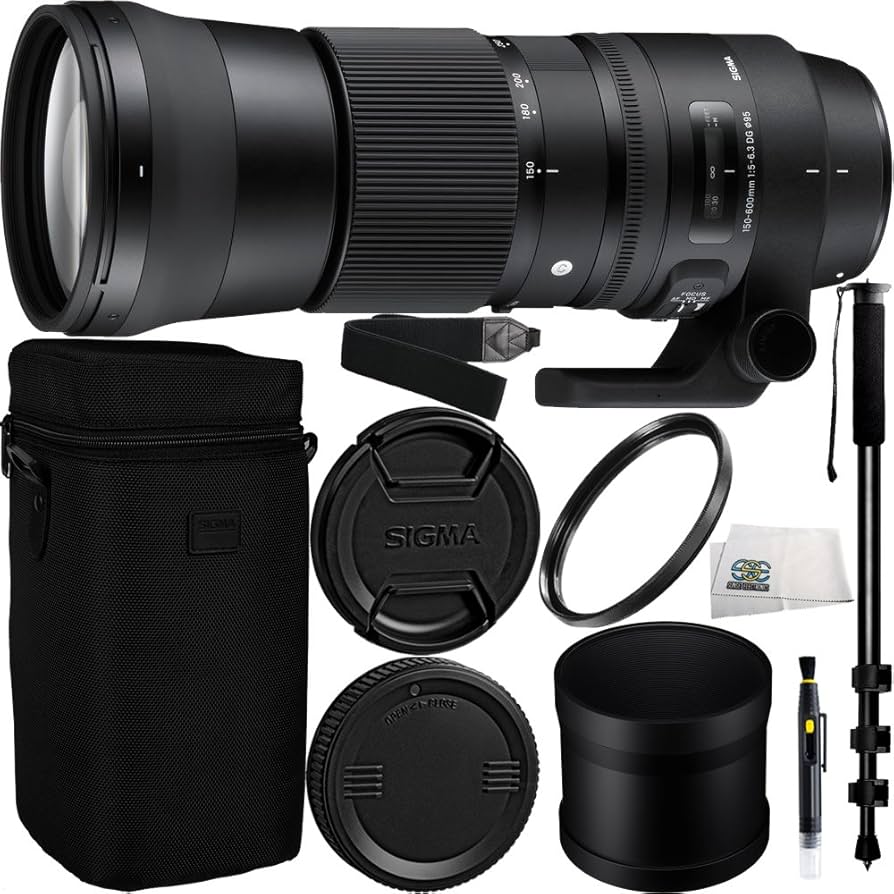 Amazon.com : Sigma 150-600mm f/5-6.3 DG OS HSM Contemporary Lens