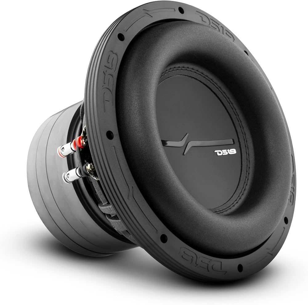 Amazon.com: DS18 ZXI10.2D High Excursion 10 Inches Car Audio