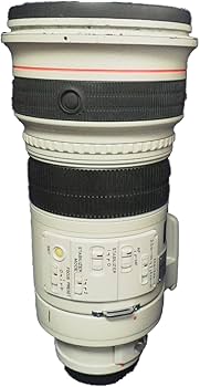 Amazon.com : Canon EF 300mm f/2.8L IS USM Telephoto Lens for Canon