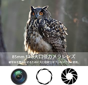 Amazon.co.jp: Lightdow for Canon EFレンズ 85mm F1.8 大口径レンズ単