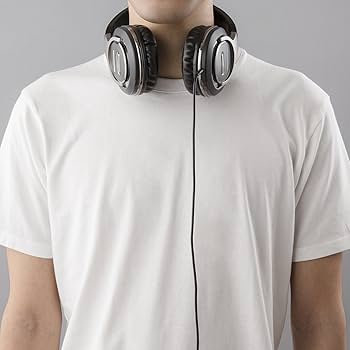 Amazon.co.jp: パナソニック 密閉型ヘッドホン シルバー RP-HT560