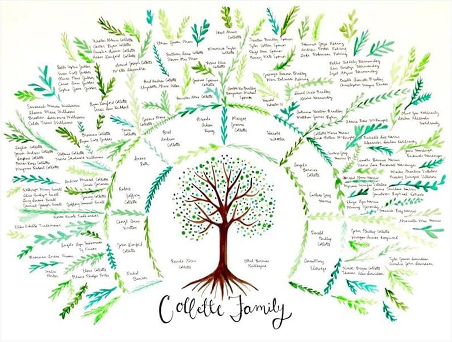 Amazon.co.jp: 祖先チャート5点、ファミリーツリーチャート、4世代の