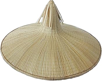 Amazon.co.jp: 菅笠 すげ笠 市女笠 装着用丸輪付 国産品 : ファッション