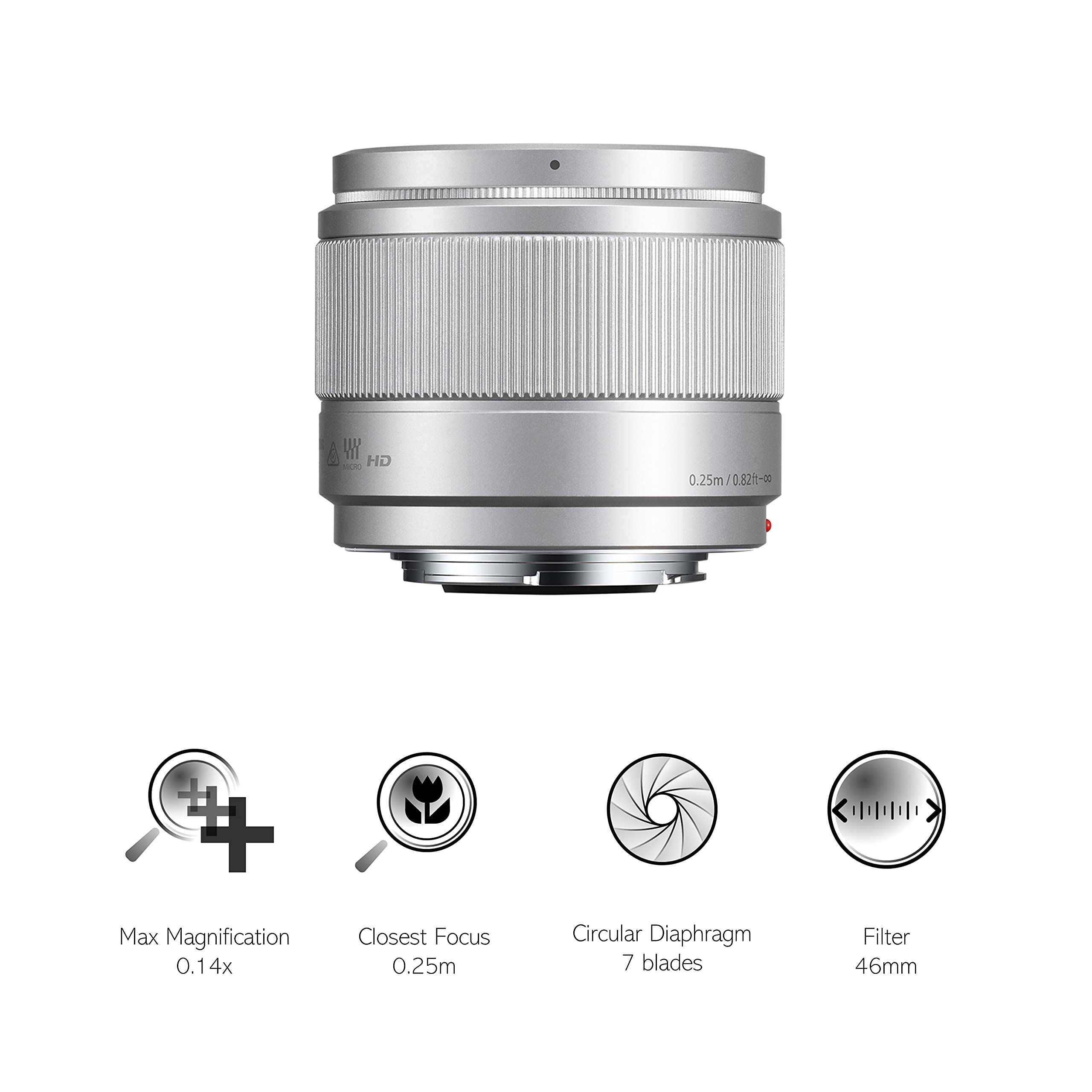 Amazon.com : Panasonic LUMIX H-H025E-K 25 mm Micro Four Thirds