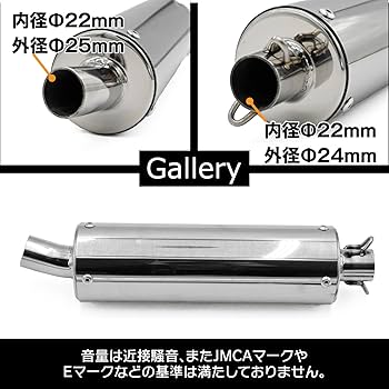 Amazon | topsense ライブディオ DIO ZX SR AF34 AF35 対応 ステンレス