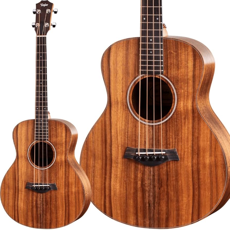 Amazon | Taylor GS Mini-e Koa Bass エレアコベース アコースティック