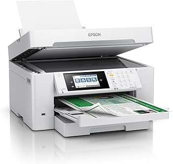 Amazon.co.jp: Epson Fax PX-M6010F Printer, A3 Novi Compatible