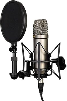 Amazon | RODE ロード / NT1A コンデンサーマイク | コンデンサ | 楽器