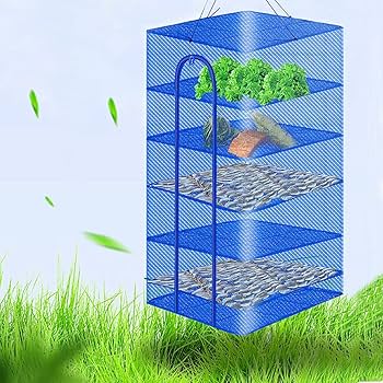 71Uq+ELHQpS._AC_UF350,