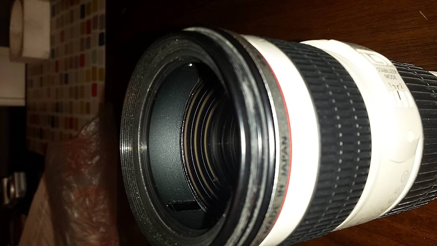 Amazon.com : Used Canon 70-200mm F4 L is USM Lens W/Lens Hood