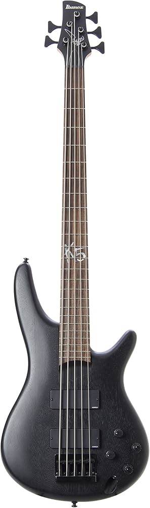 Amazon | Ibanez / K5-BKF (Black Flat) Fieldy (KORN) Signature