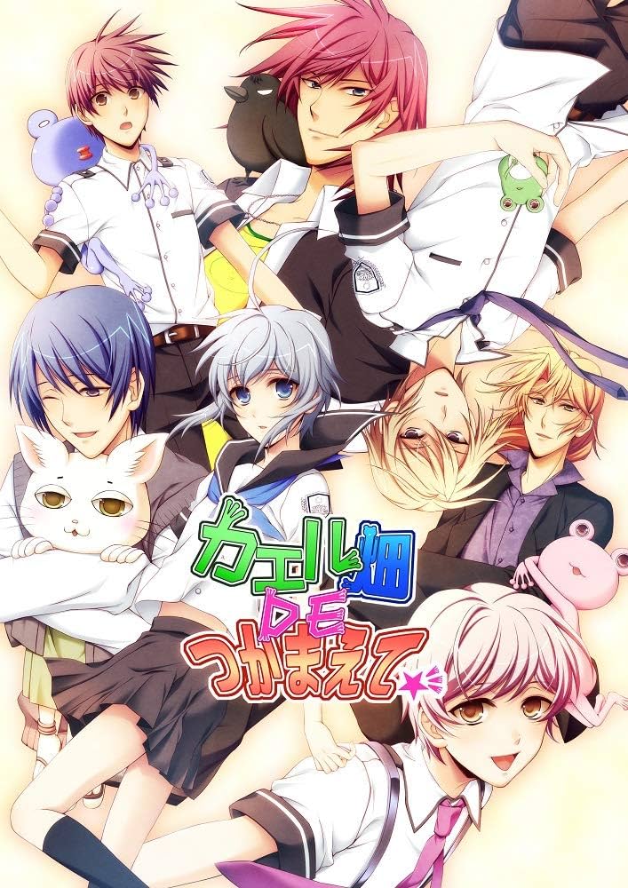 Amazon.co.jp: カエル畑DEつかまえて☆彡 - Switch : ゲーム