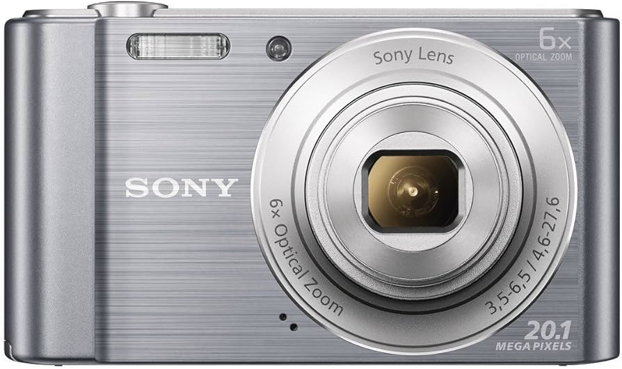 Amazon.com : Sony Cyber-Shot DSCW810 20.1MP Digital Camera
