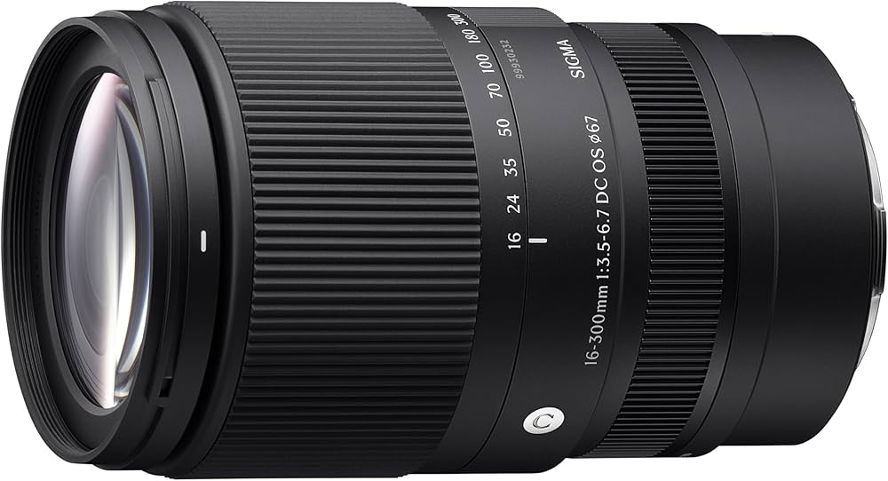 Amazon.co.jp: シグマ(Sigma) レンズ 16-300mm F3.5-6.7 DC OS Sony E