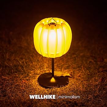 Amazon.co.jp: WELLHIKE ゴールゼロ スタンド 38explore ランプベース