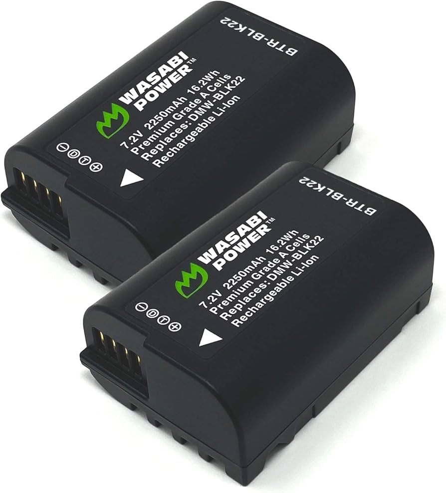 Amazon.com: Wasabi Power Battery (2-Pack) for Panasonic DMW-BLK22
