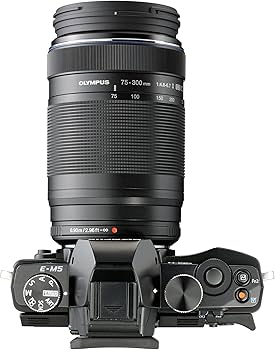 Amazon.com : Olympus M.Zuiko Digital 75-300mm F4.8-6.7 for Micro