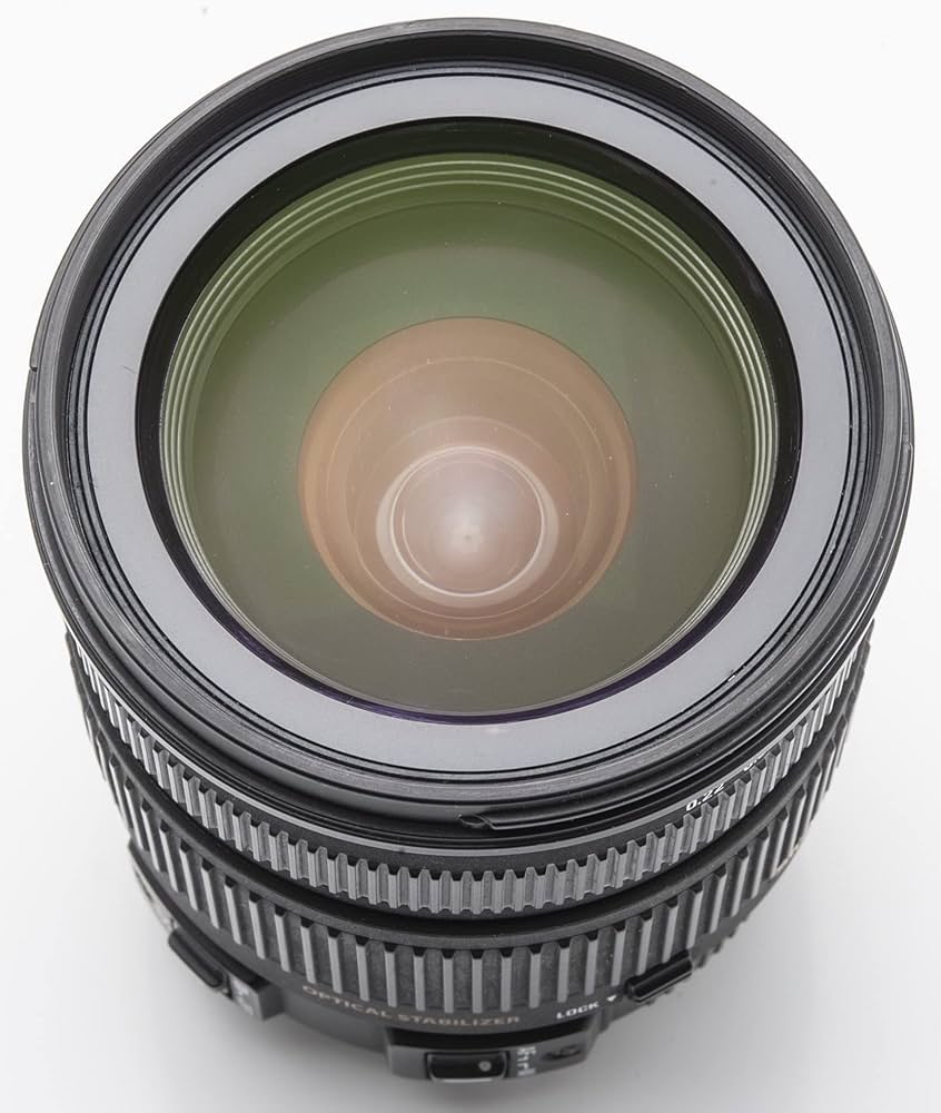 Amazon.co.jp: シグマ 17-70mm F2.8-4 DC MACRO OS HSM ペンタックス用