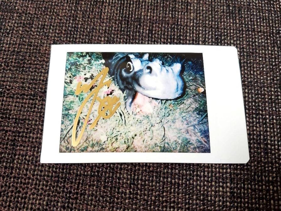 Amazon.co.jp: 期間限定Mrs. GREEN APPLE 直筆サイン チェキ 若井滉斗