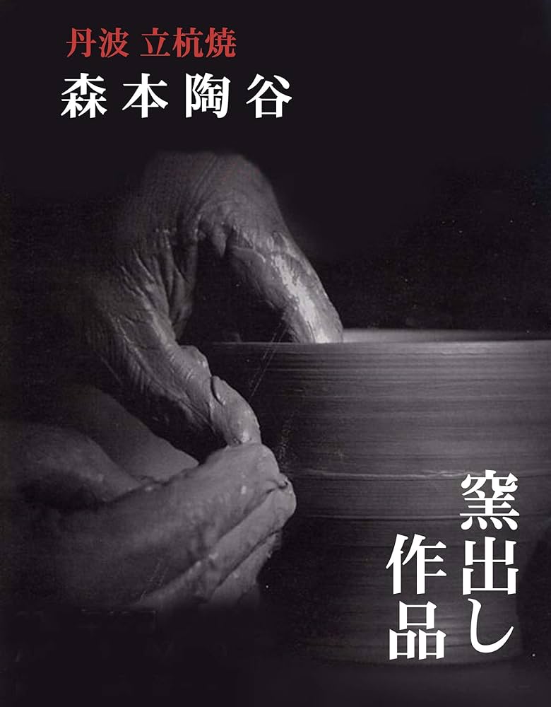 Amazon.co.jp: 兵庫県無形文化財 森本陶谷作◇丹波立杭焼 【灰被り水指