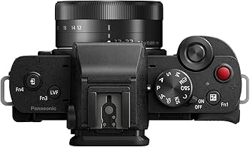 Amazon.com : Panasonic LUMIX G100 4k Mirrorless Camera for Photo