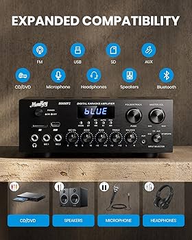 Amazon.co.jp: Moukey パワーアンプ システム マイクミキサー 220W