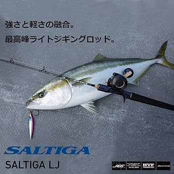 Amazon | ダイワ(DAIWA) ライトジギングロッド ソルティガ(SALTIGA) LJ