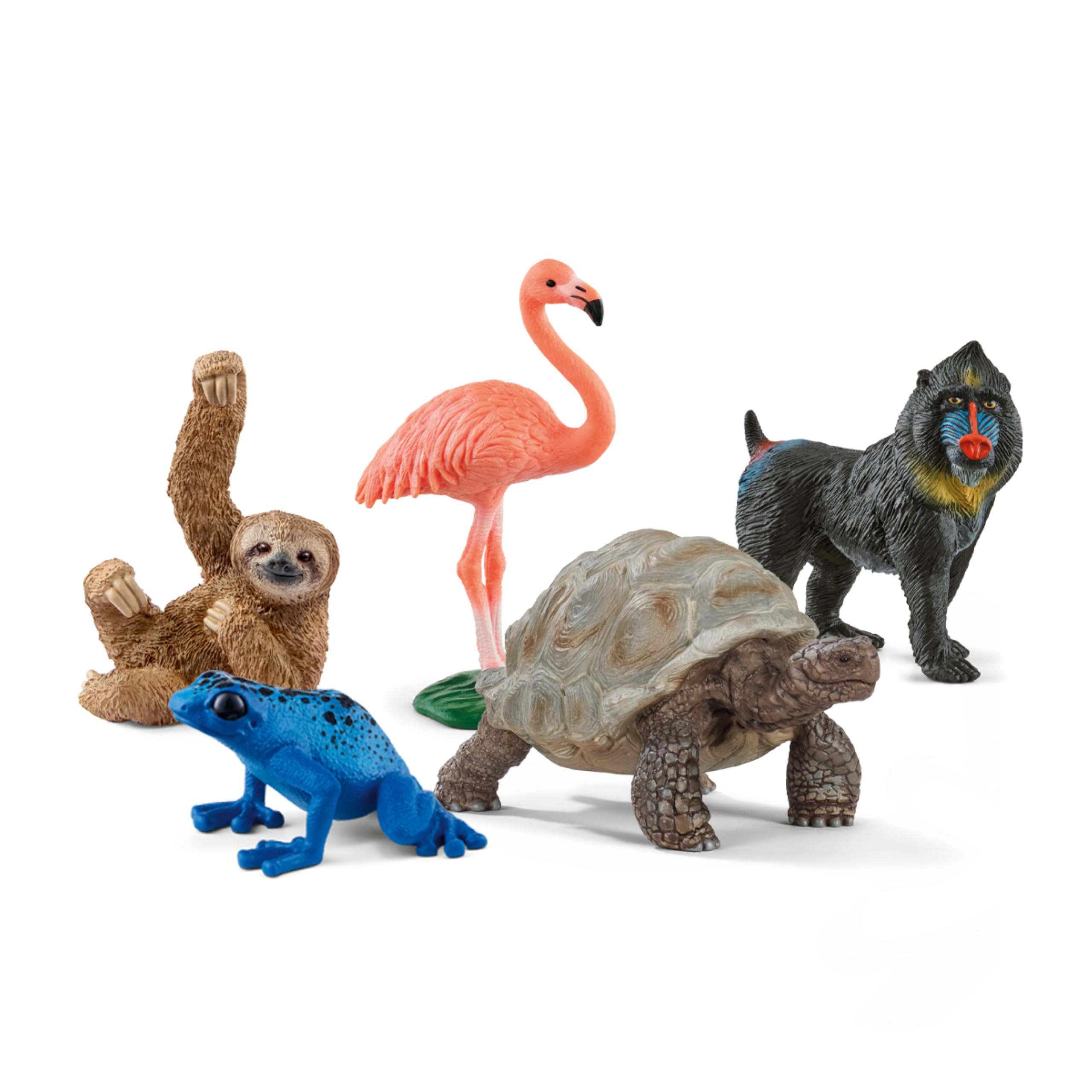 Amazon.co.jp: Schleich Wild Life - エキゾチックアニマルスターター