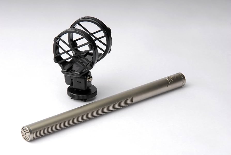 Amazon.com: Rode NTG3 RF-Bias Condenser Shotgun Microphone with