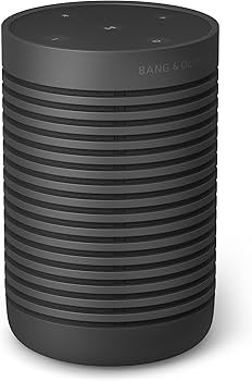 Amazon.com: Bang & Olufsen Beolit 20 & Beosound Explore Portable